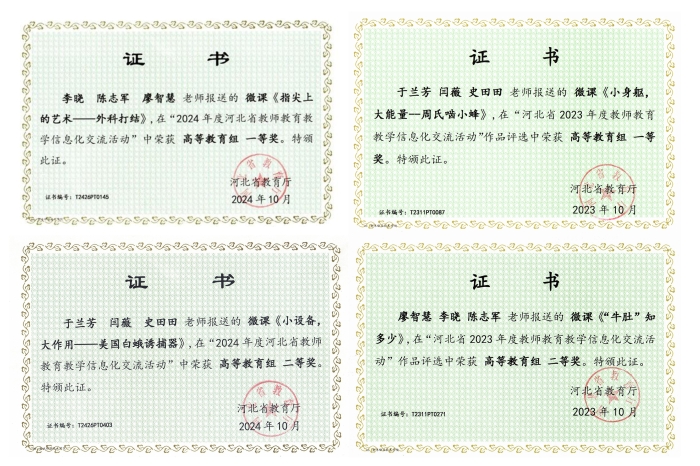 1748506887668_06 1748506887668_06